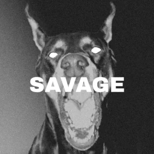 Savage Sample Pack